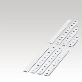 0808804:0031 ZBF 8.LGS:FORTL.ZAHLEN 31-40