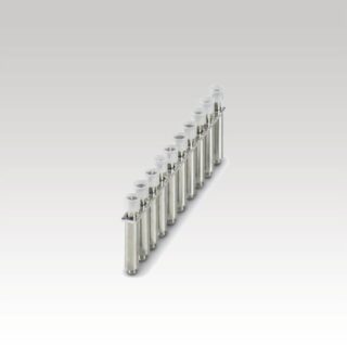 3245134 SCBI 10-8.15