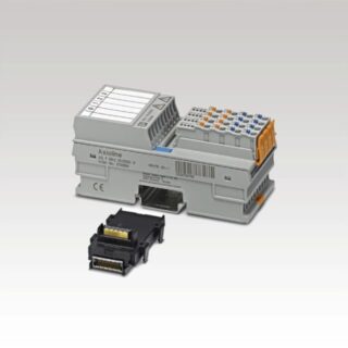 2700684 AXL F DI8/2 110/220DC 1F